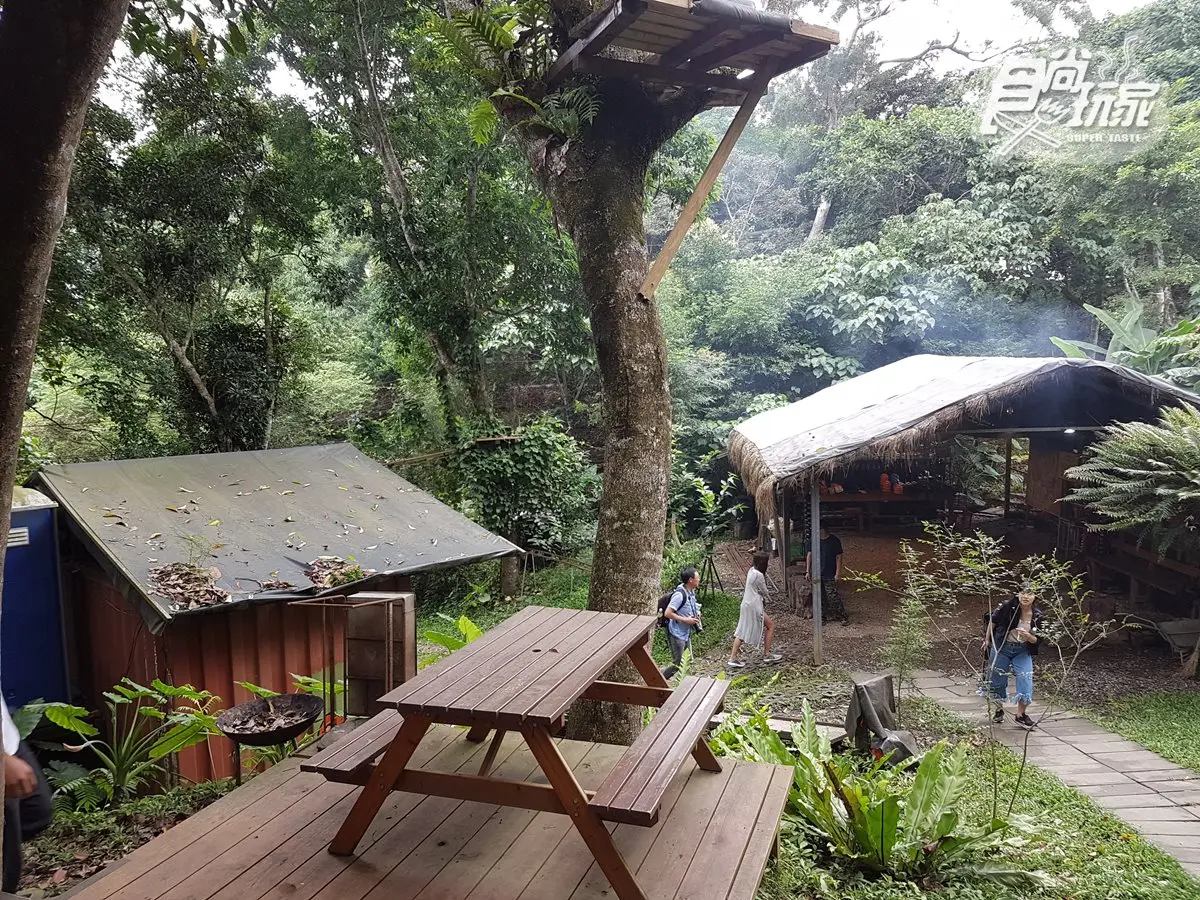 28關連續挑戰！超刺激「樹冠層探險」 連歌手都忍不住尖叫了  