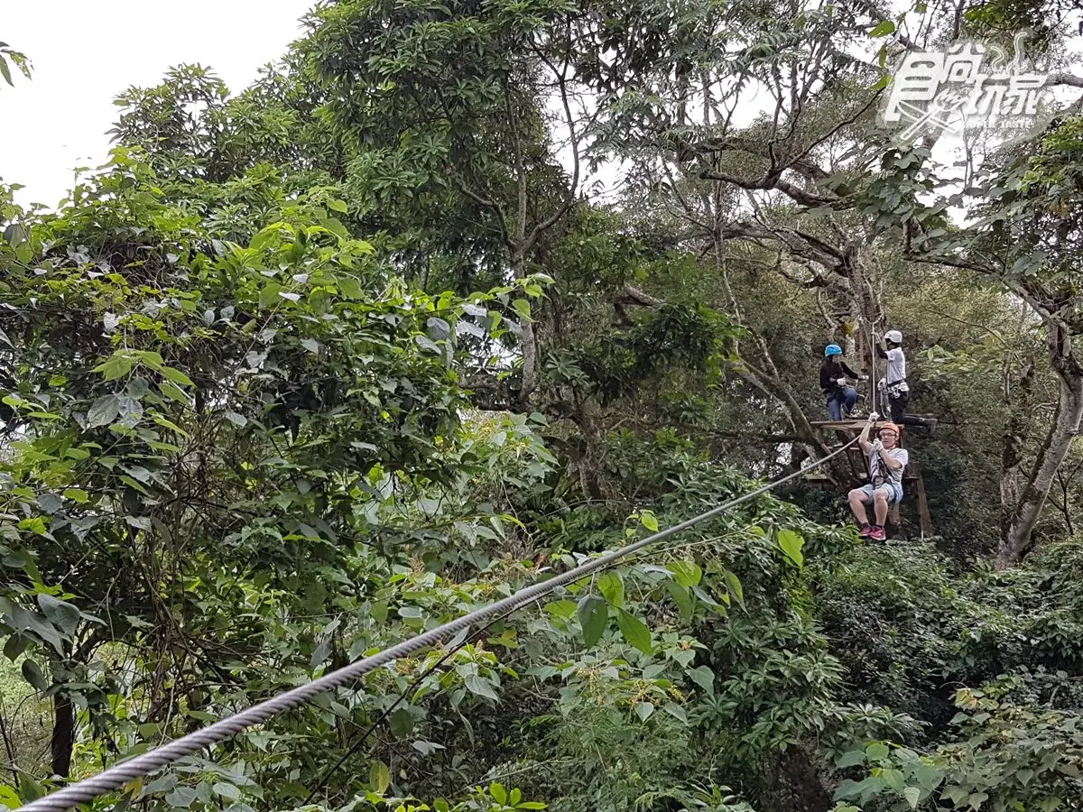 28關連續挑戰！超刺激「樹冠層探險」 連歌手都忍不住尖叫了  