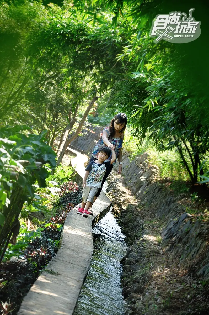 坪頂古圳步道  泡圳水感受百年沁涼