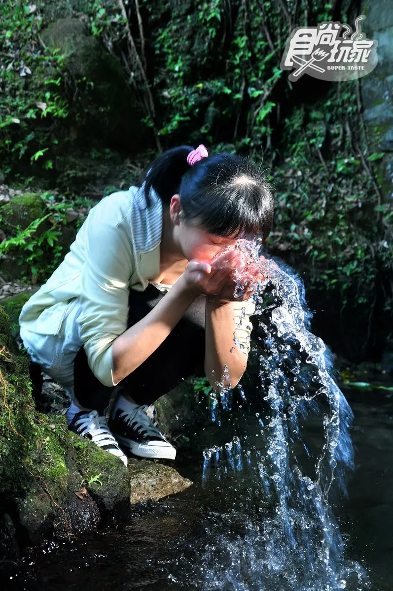 坪頂古圳步道  泡圳水感受百年沁涼