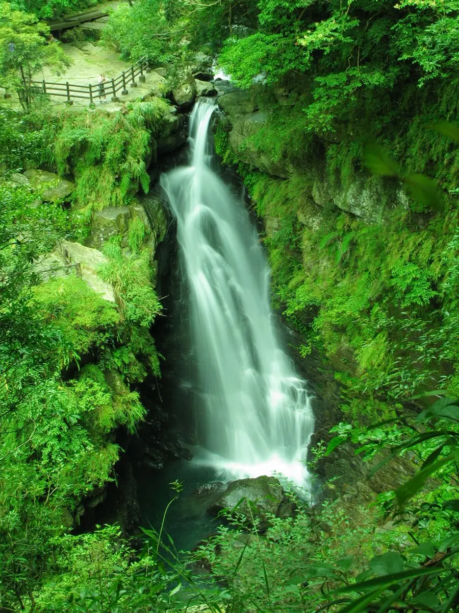 消暑涼方!三峽森林祕境小旅行:賞處女瀑布、吃鳥蛋肉圓、拍日本豪宅 消暑涼方!三峽森林祕境小旅行:賞處女瀑布、吃鳥蛋肉圓、拍日本豪宅