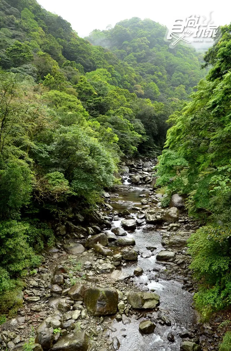 消暑涼方!三峽森林祕境小旅行:賞處女瀑布、吃鳥蛋肉圓、拍日本豪宅 消暑涼方!三峽森林祕境小旅行:賞處女瀑布、吃鳥蛋肉圓、拍日本豪宅