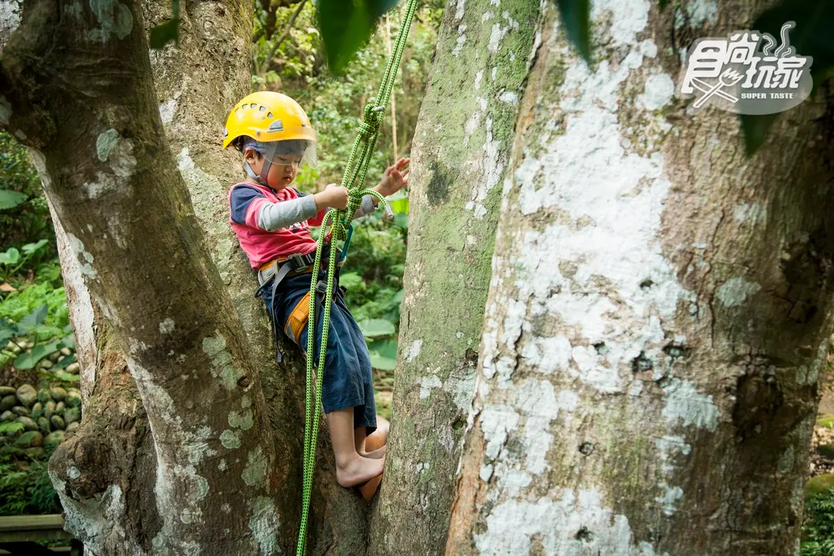 暑假快筆記!全台6個「野外超放電」親子熱點:樹冠層玩滑索、草地滾飛球、小小漆彈營、跟鱷魚拔河 暑假快筆記!全台6個「野外超放電」親子熱點:樹冠層玩滑索、草地滾飛球、小小漆彈營、跟鱷魚拔河