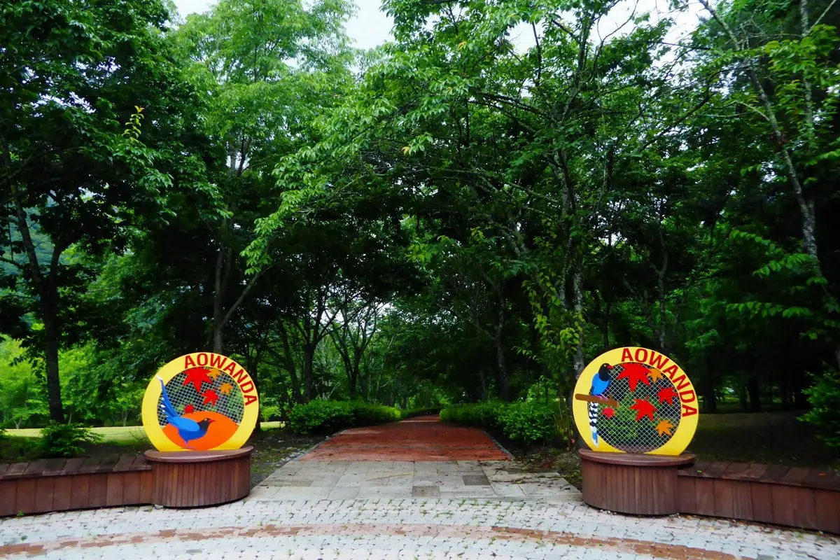 連2天門票10元→就在這座「台灣第二高負離子」國家公園！森林系朋友快規劃