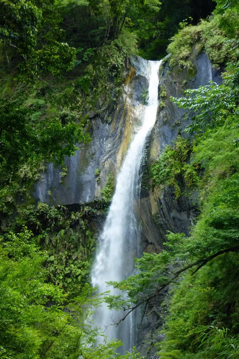 連2天門票10元→就在這座「台灣第二高負離子」國家公園！森林系朋友快規劃