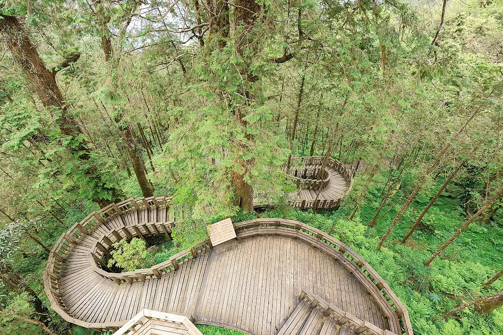 闖進馬告神木森林、與鯨同遊龜山島！飯店暑期特惠活動開跑