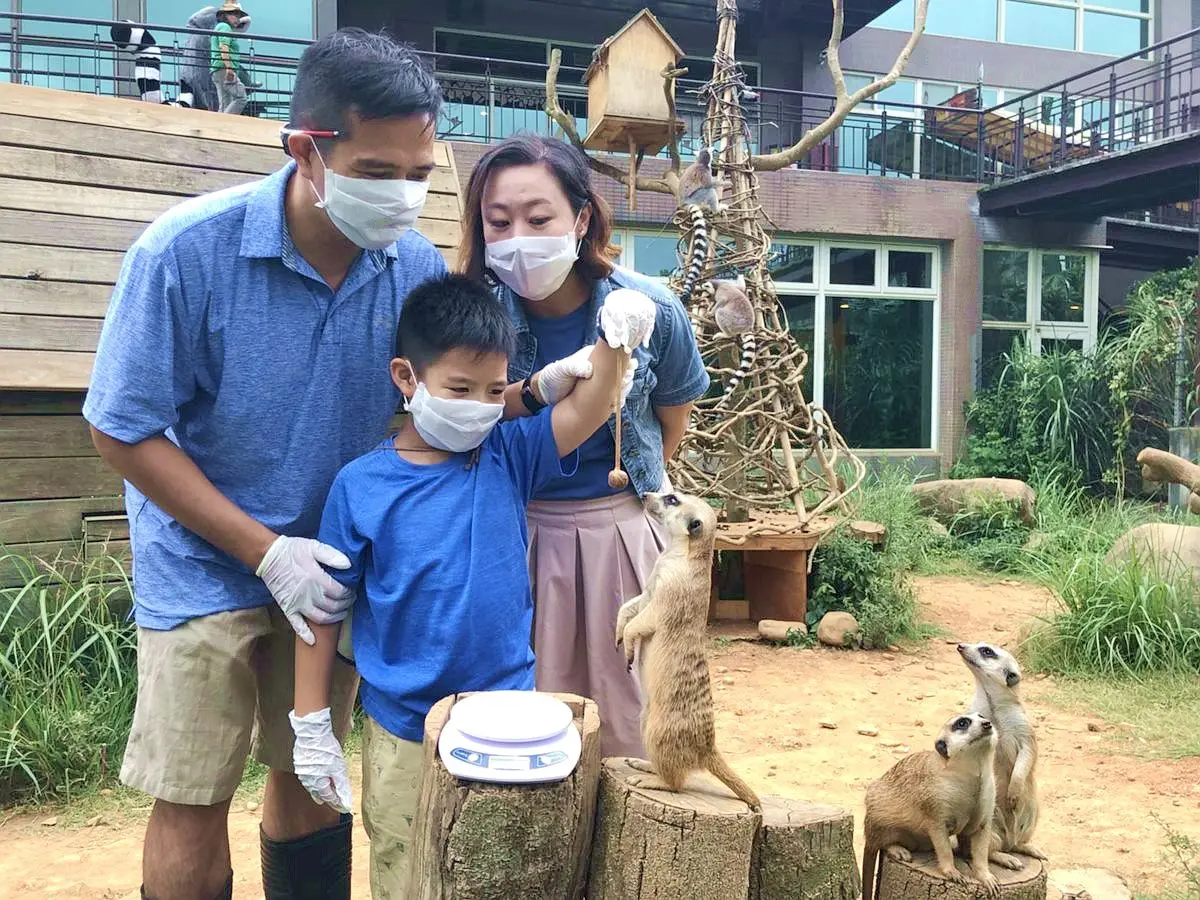 免費玩六福村２天！全台最大動物園飯店限定好康，２主題玩法體驗狐猴、樹蛙