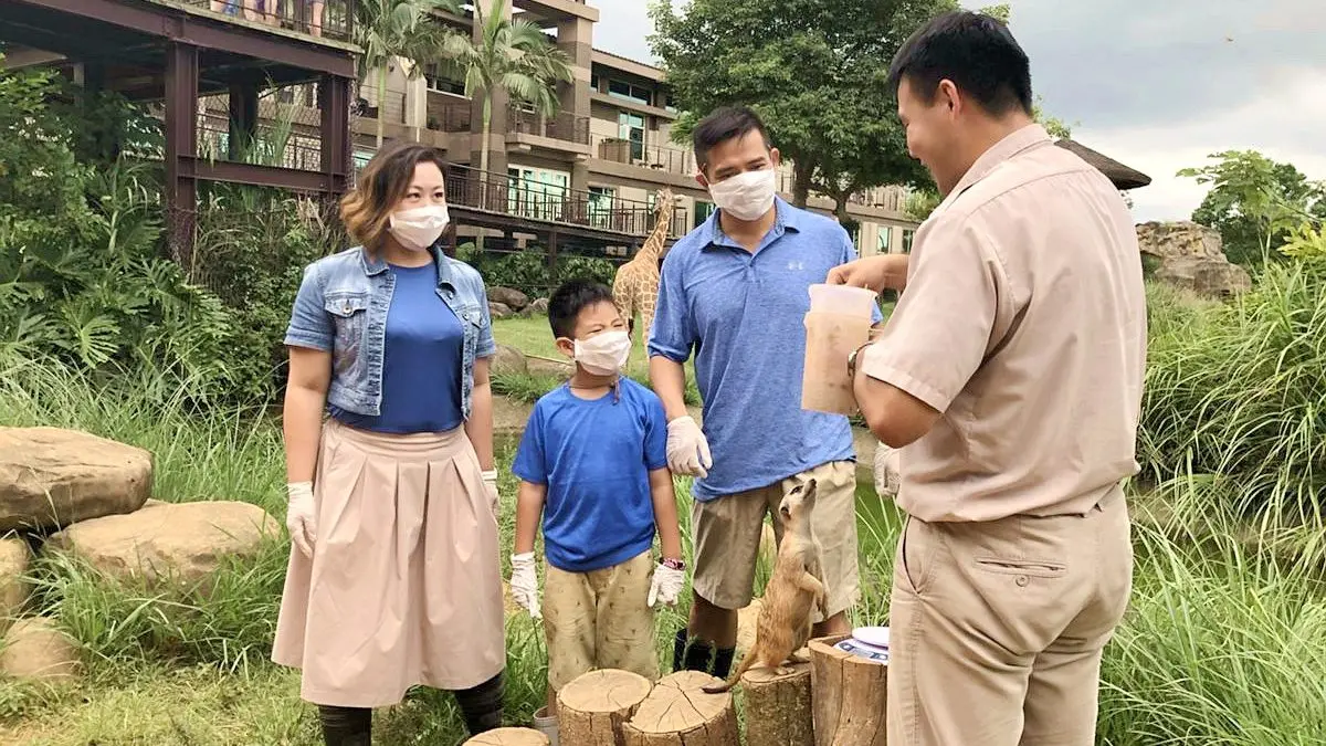 住飯店和「狐獴 」近距離接觸！可以看動物的這家飯店推住房優惠了