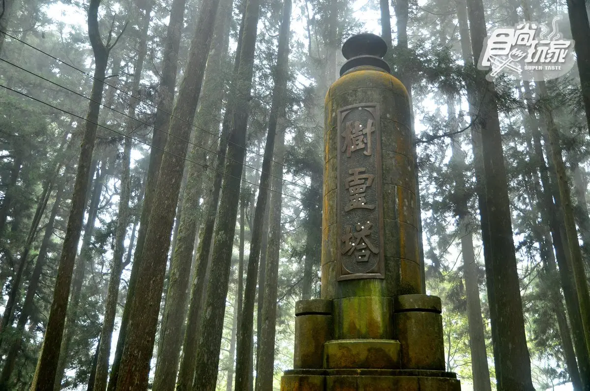 小火車復駛了!一次看遍「阿里山森鐵」亮點:千年光武檜神木、樹靈塔傳說、觀日原始步道 小火車復駛了!一次看遍「阿里山森鐵」亮點:千年光武檜神木、樹靈塔傳說、觀日原始步道