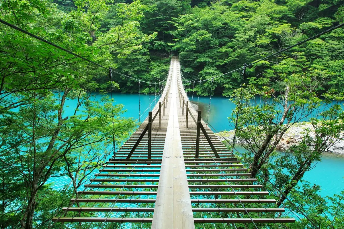 七夕告白放大絕！日本人求愛為何都要「走吊橋」？調查指出「撩妹率」最高這6座吊橋