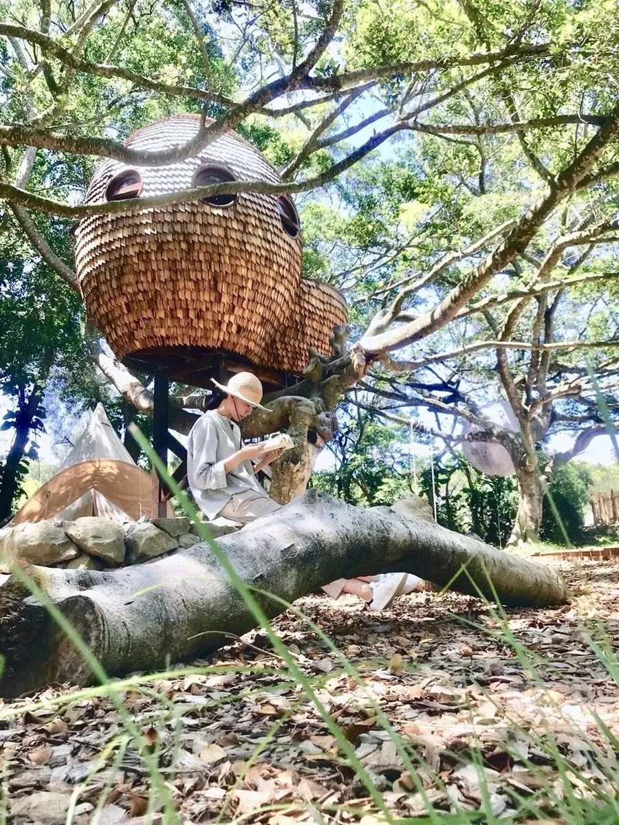 與森林共眠!苗栗絕美「樹屋露營」 夢幻住宿全新開放 與森林共眠!苗栗絕美「樹屋露營」 夢幻住宿全新開放