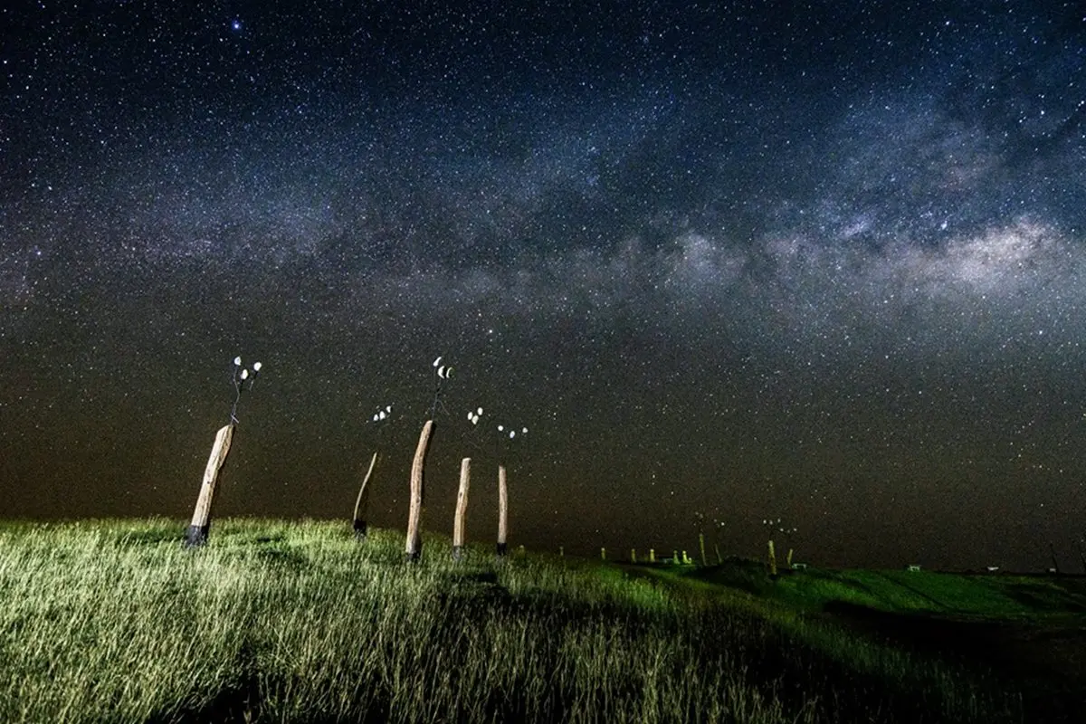 傳給男朋友!台東「星空音樂會」免費還能抽獎,陪你浪漫觀星一晚 傳給男朋友!台東「星空音樂會」免費還能抽獎,陪你浪漫觀星一晚