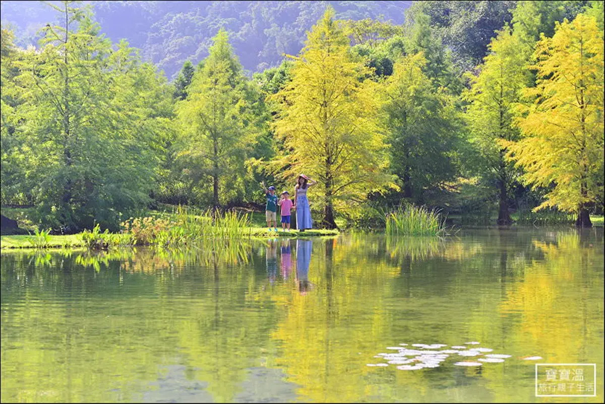 浪漫破表！「七彩落羽松秘境」住一晚   玩恆溫漂漂河