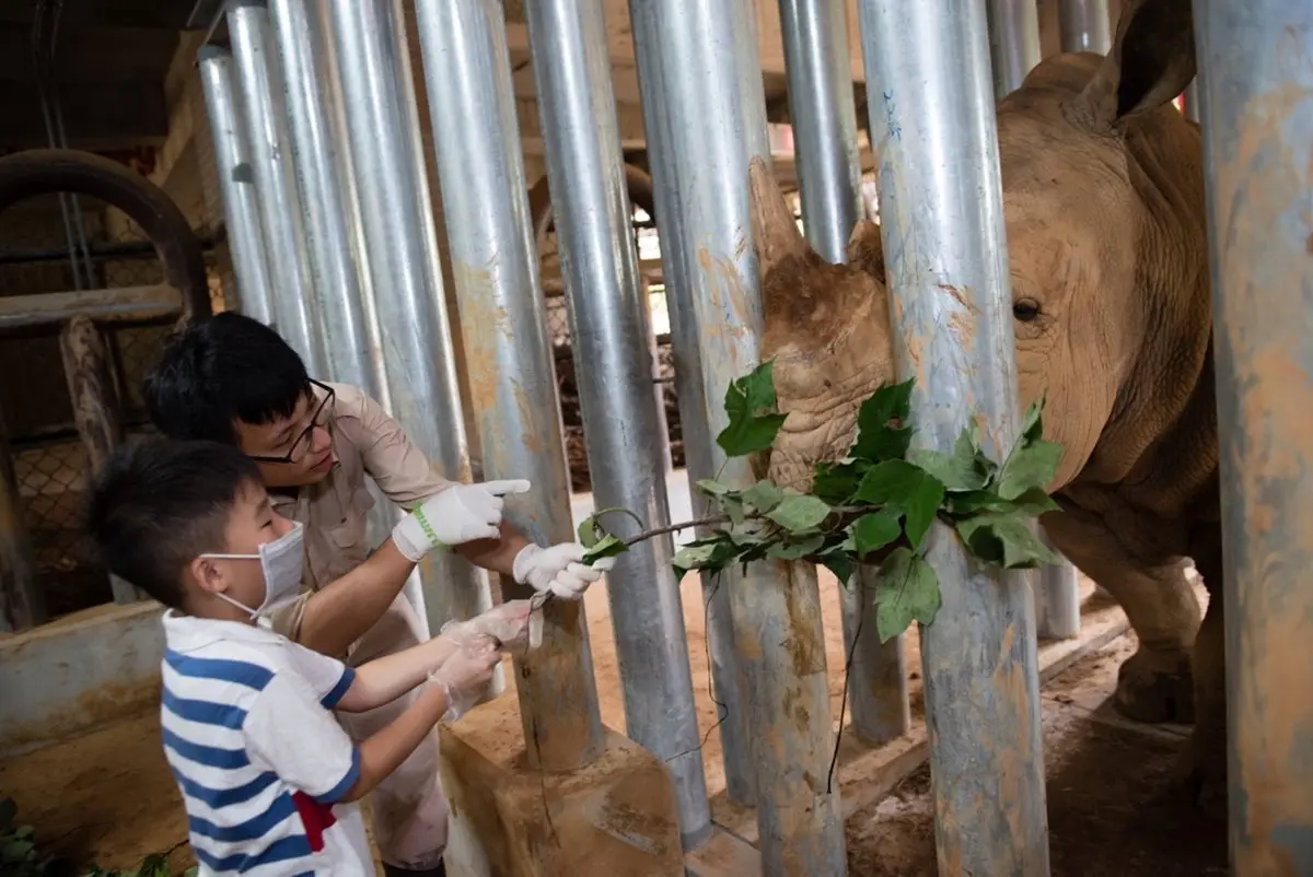  動物園住一晚！化身「小小動保員」近距離接觸「長頸鹿」，入住「免費升級房型」