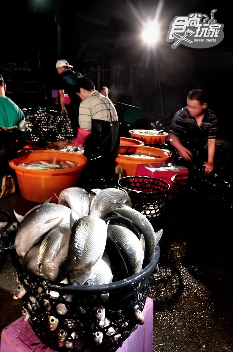 台南吃「牛奶魚」賞「黑琵」+順遊6亮點:鹽鹵足之浴、搭竹筏賞生態、吃「七股三寶」 台南吃「牛奶魚」賞「黑琵」+順遊6亮點:鹽鹵足之浴、搭竹筏賞生態、吃「七股三寶」