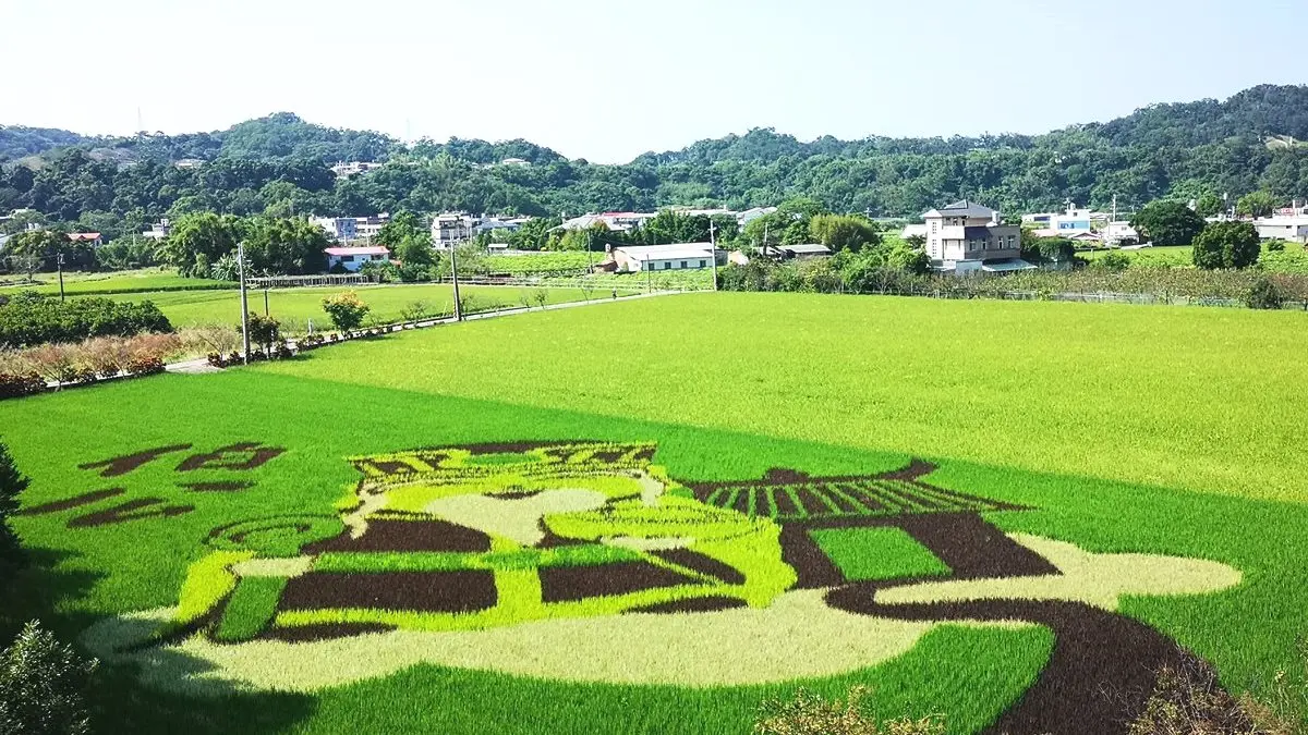神來也!苗栗「巨型土地公」地景現身稻田 有神快拜啊 神來也!苗栗「巨型土地公」地景現身稻田 有神快拜啊