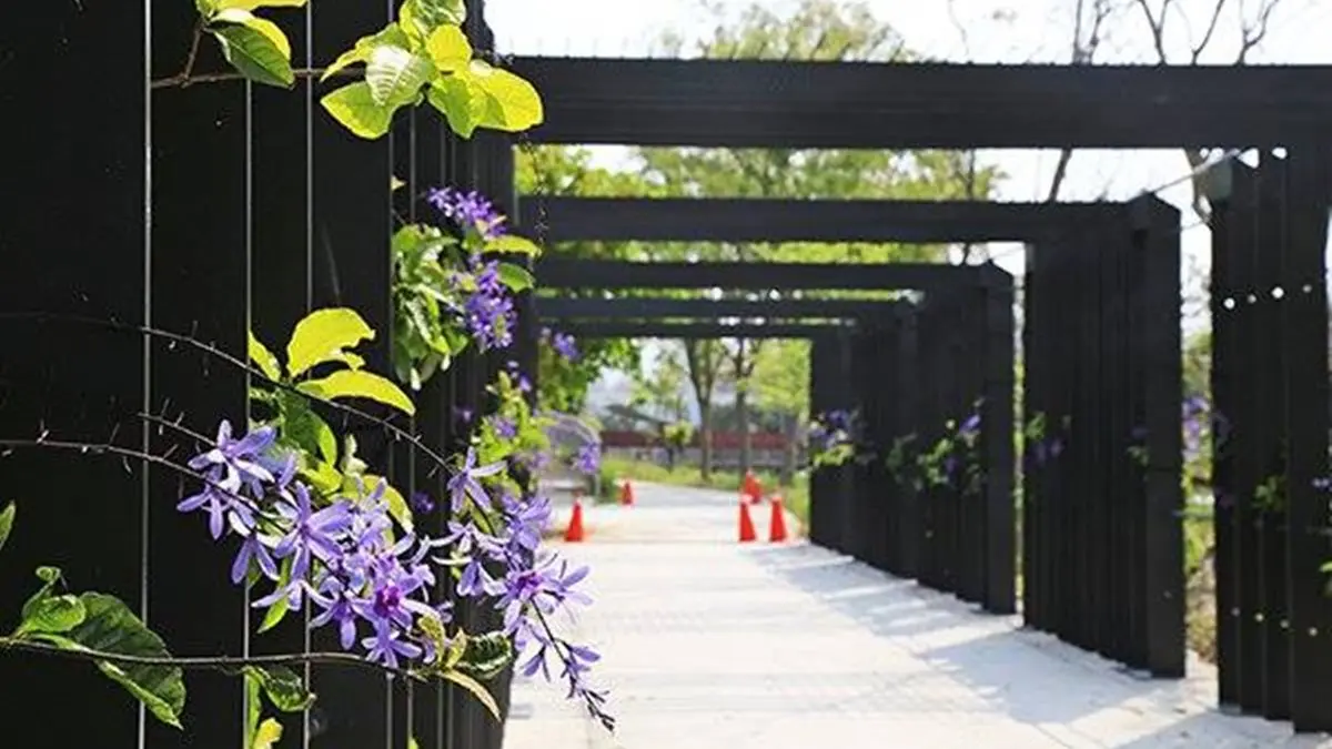 【台中看花博】「豐原葫蘆墩」免費入園!「竹跡館」最大 213公尺「花廊道」任意遊 【台中看花博】「豐原葫蘆墩」免費入園!「竹跡館」最大 213公尺「花廊道」任意遊