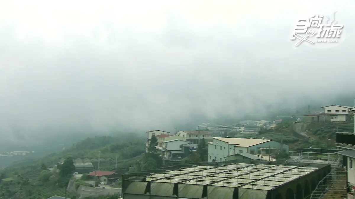 網紅「Follow Me」牽手照拍攝地!想看茶園日出美景,這間民宿陽台就有 網紅「Follow Me」牽手照拍攝地!想看茶園日出美景,這間民宿陽台就有