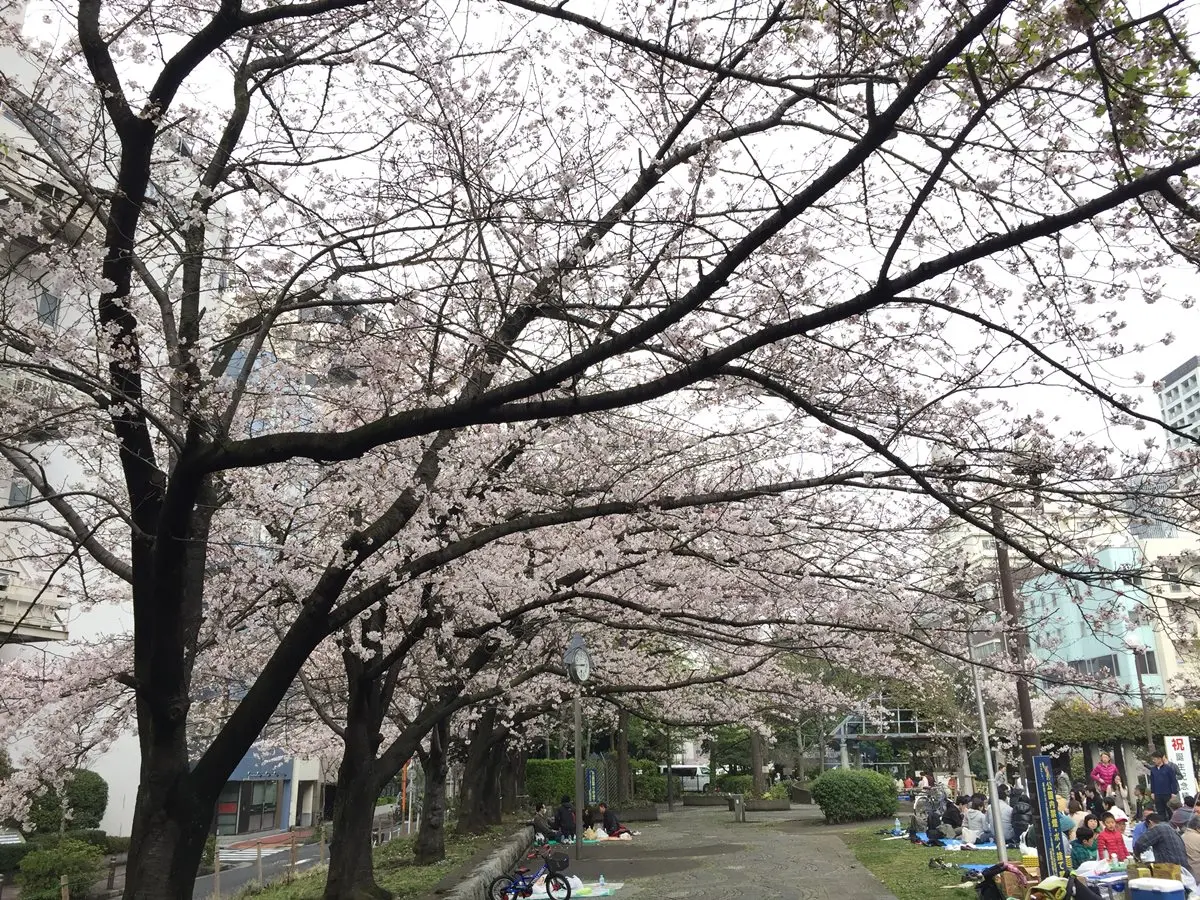 舊築地新玩法:在地人才知道的「咖啡小路」 !口袋名單這4家 舊築地新玩法:在地人才知道的「咖啡小路」 !口袋名單這4家