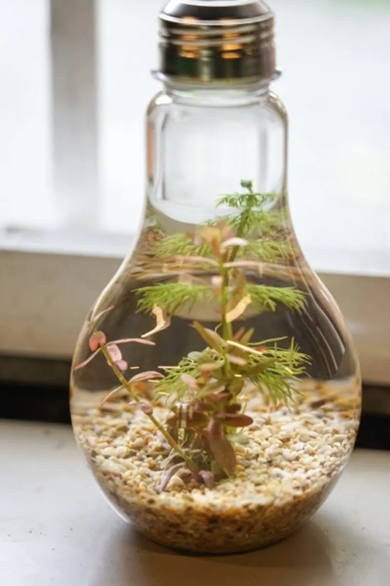 花蓮祕境「夢幻藍泉」 看絕美紅寶石水草森林 花蓮祕境「夢幻藍泉」 看絕美紅寶石水草森林