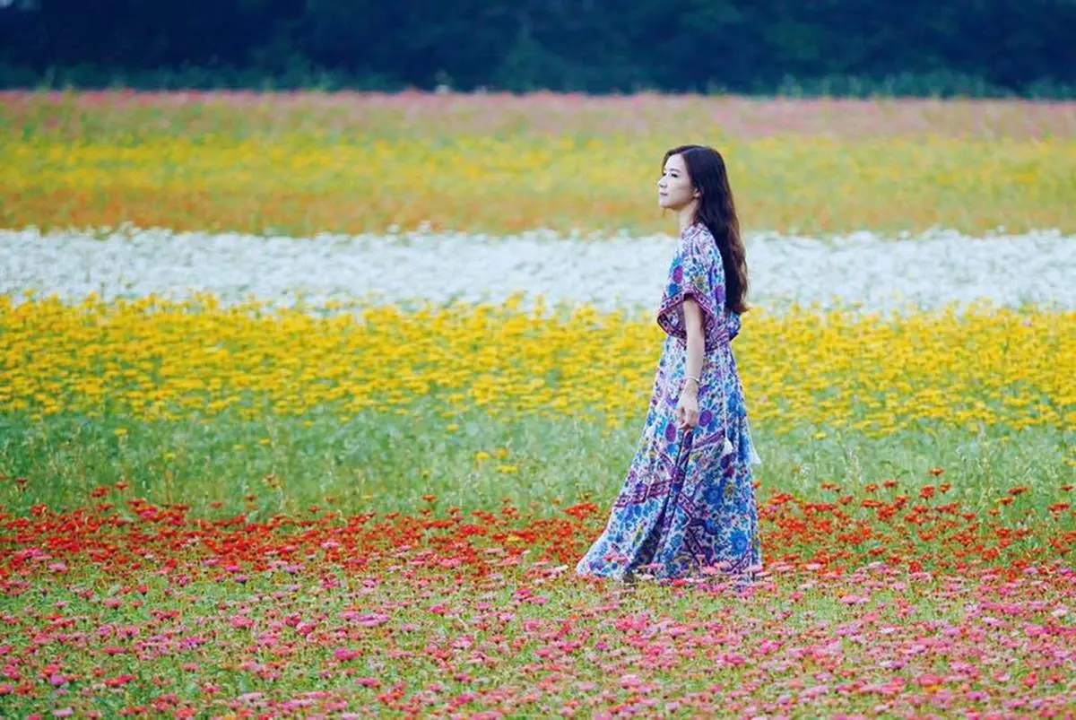 IG最愛!全台6大冬季美拍花海:關渡波斯菊、楊梅粉紫仙草、新社蕎麥花 IG最愛!全台6大冬季美拍花海:關渡波斯菊、楊梅粉紫仙草、新社蕎麥花
