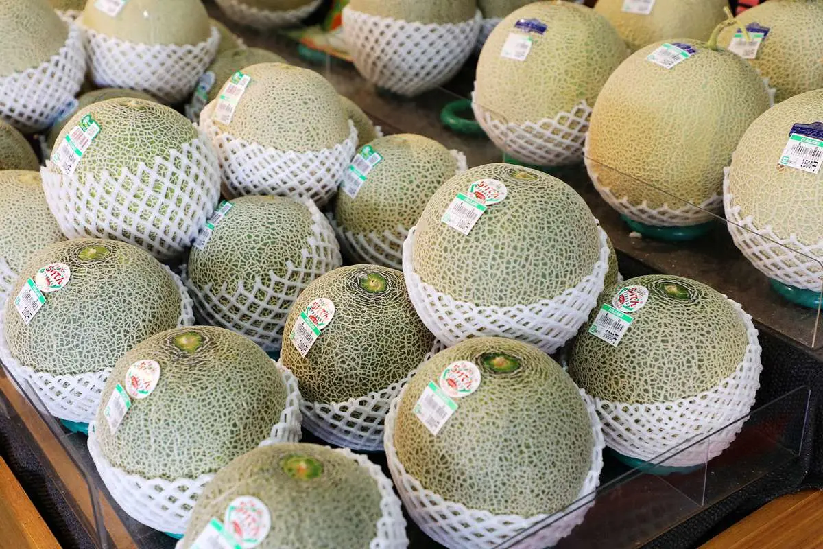 遊日本必買超好吃水果!東北蘋果、甜柿、麝香葡萄 大又香錯過可惜 遊日本必買超好吃水果!東北蘋果、甜柿、麝香葡萄 大又香錯過可惜