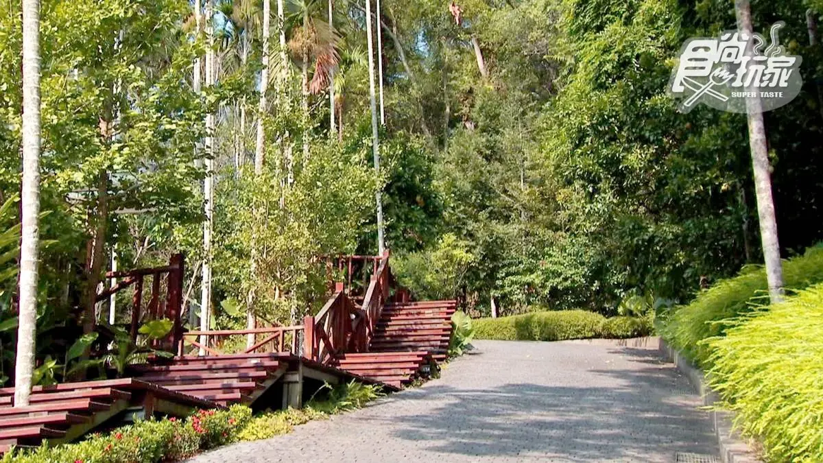 台灣十大必住旅宿NO.1!森林度假別墅4種獨特房型,還有山泉水游池 台灣十大必住旅宿NO.1!森林度假別墅4種獨特房型,還有山泉水游池