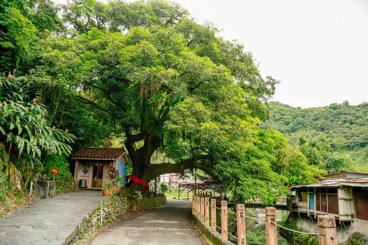 國旅補助玩宜蘭!賞芒花海、走「細姨路」秋遊6大景點 國旅補助玩宜蘭!賞芒花海、走「細姨路」秋遊6大景點