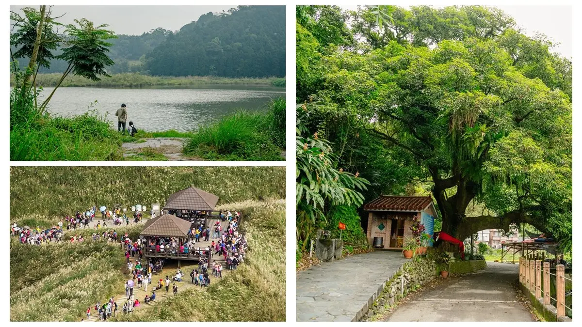 國旅補助玩宜蘭!賞芒花海、走「細姨路」秋遊6大景點 國旅補助玩宜蘭!賞芒花海、走「細姨路」秋遊6大景點
