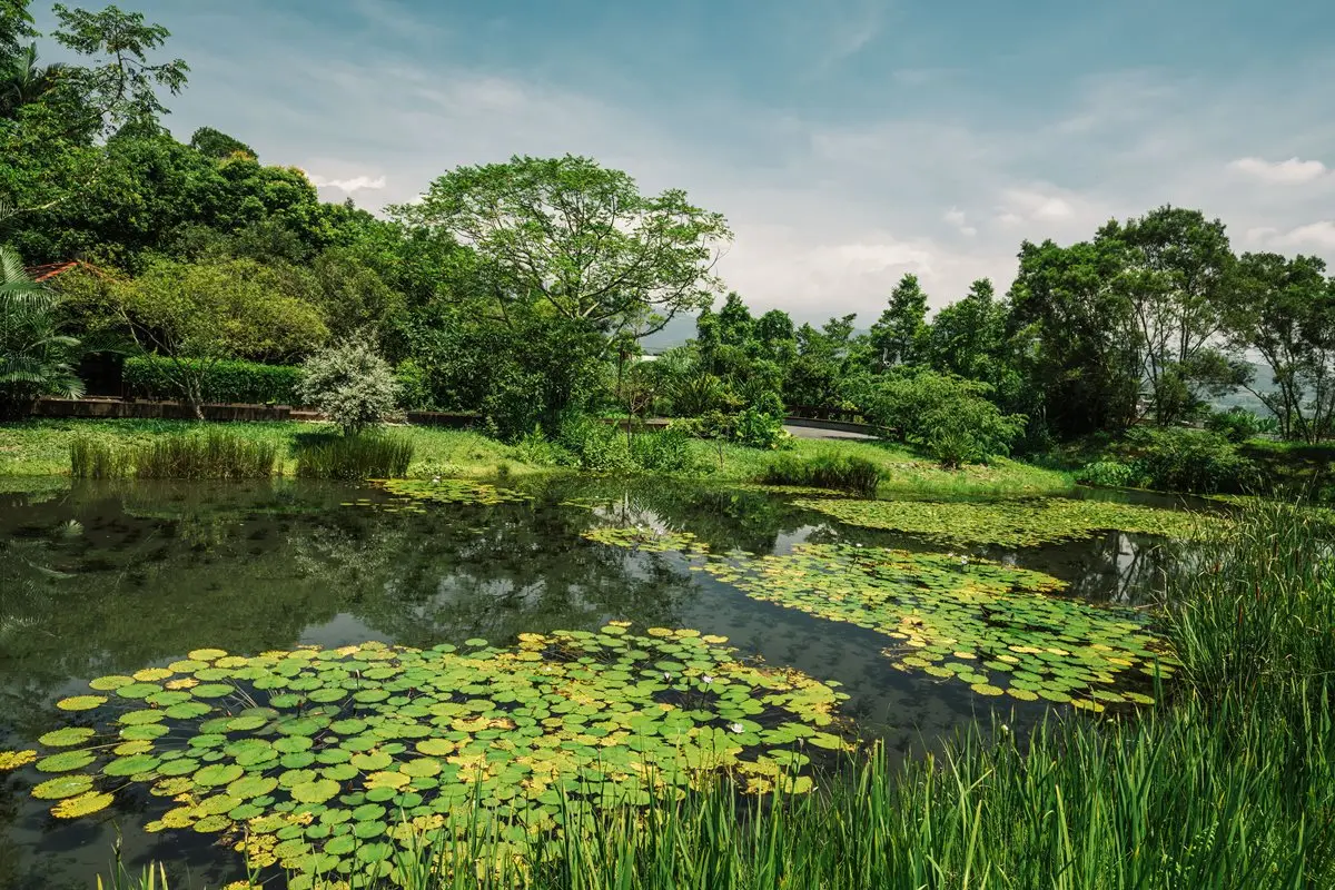 國旅補助玩宜蘭!賞芒花海、走「細姨路」秋遊6大景點 國旅補助玩宜蘭!賞芒花海、走「細姨路」秋遊6大景點