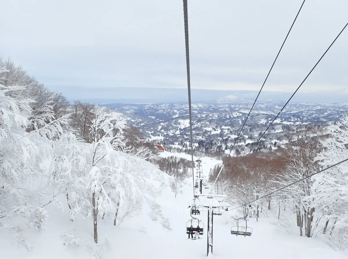帶孩子滑雪去!玩造浪池、搭纜車 日本這3處雪場超好玩 帶孩子滑雪去!玩造浪池、搭纜車 日本這3處雪場超好玩