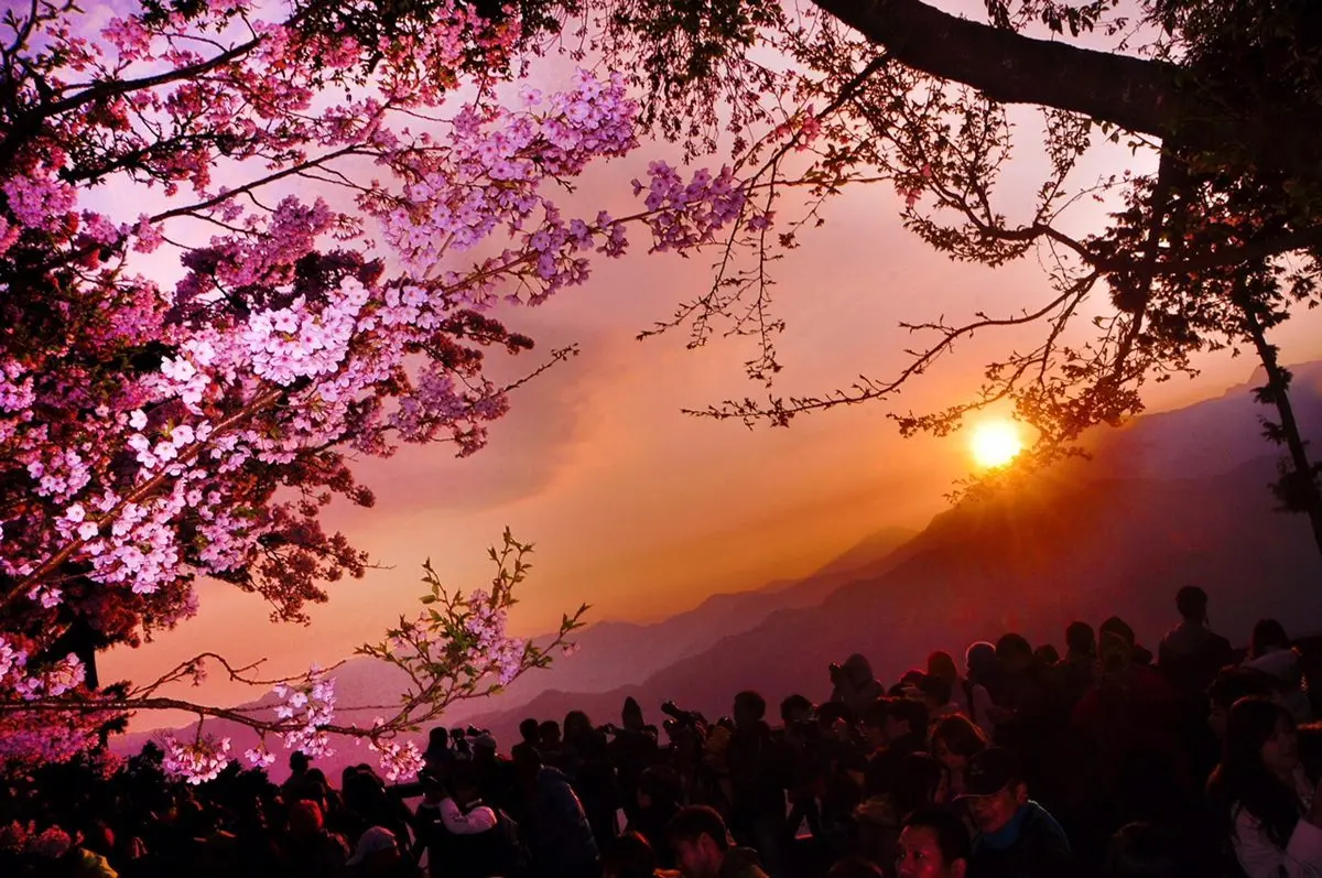 看煙火+追日出+玩樂園!2019年「4天跨年連假」這樣玩 看煙火+追日出+玩樂園!2019年「4天跨年連假」這樣玩