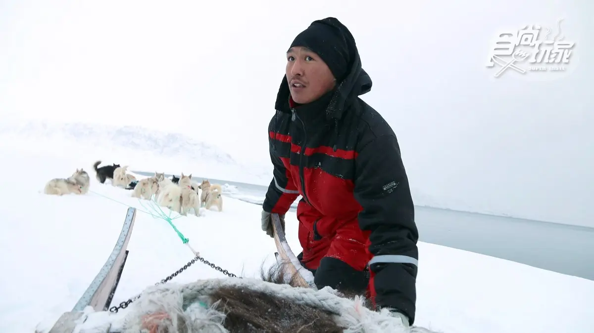 為什麼不可以摸雪橇犬？零下20度怎麼穿才暖？格陵蘭「生存守則」
