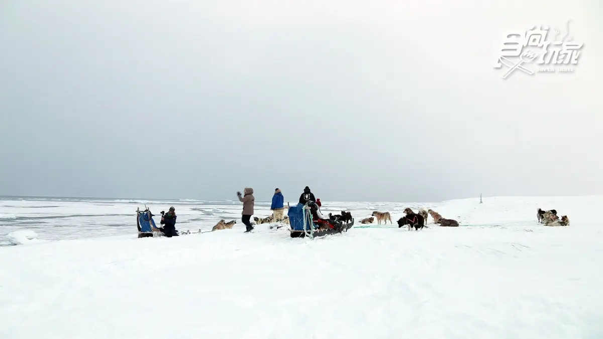 為什麼不可以摸雪橇犬？零下20度怎麼穿才暖？格陵蘭「生存守則」