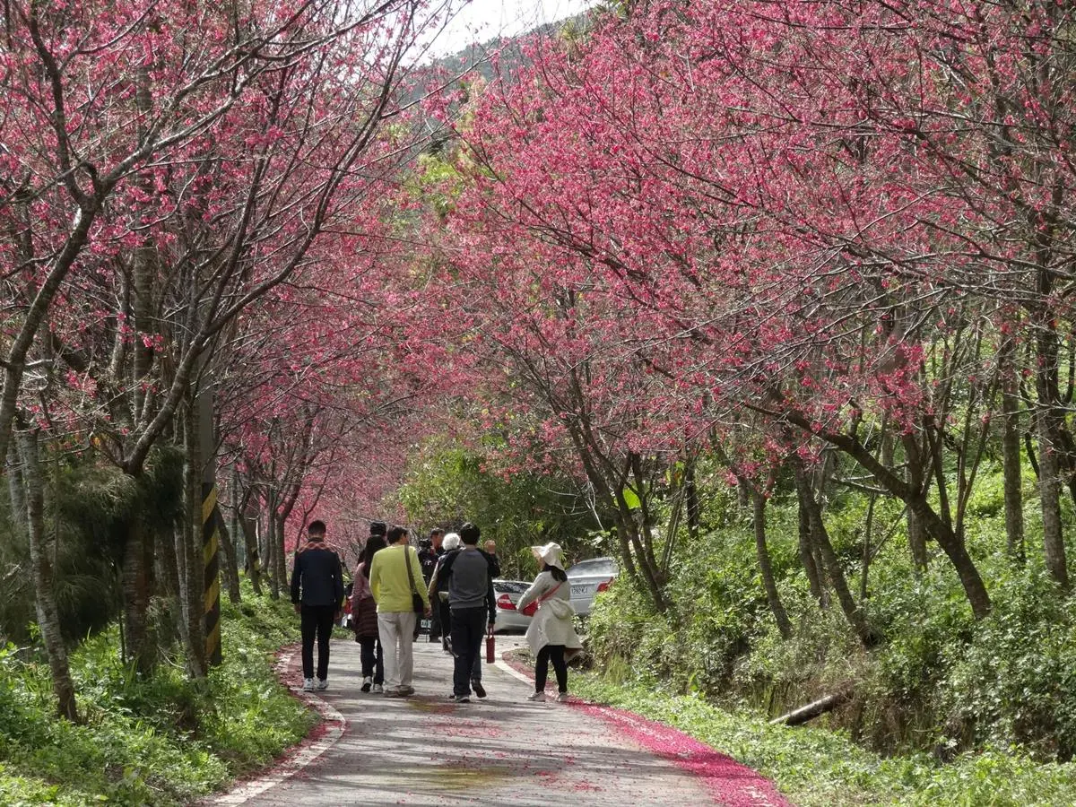 祕密客認證！全台「30大經典小鎮」票選出爐，這些地方你去過沒