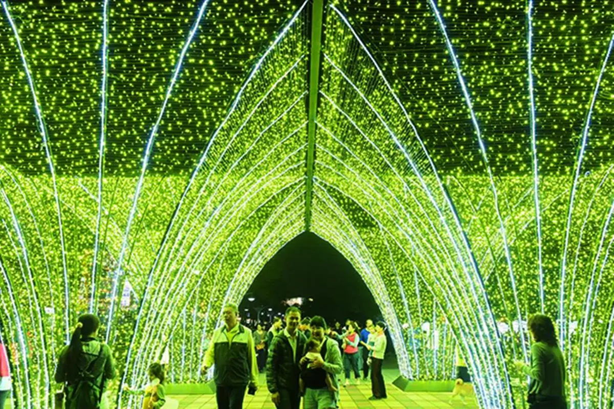 彩虹棒棒糖+生命樹!夢幻燈會「7大打卡熱點」新年拍一波 彩虹棒棒糖+生命樹!夢幻燈會「7大打卡熱點」新年拍一波