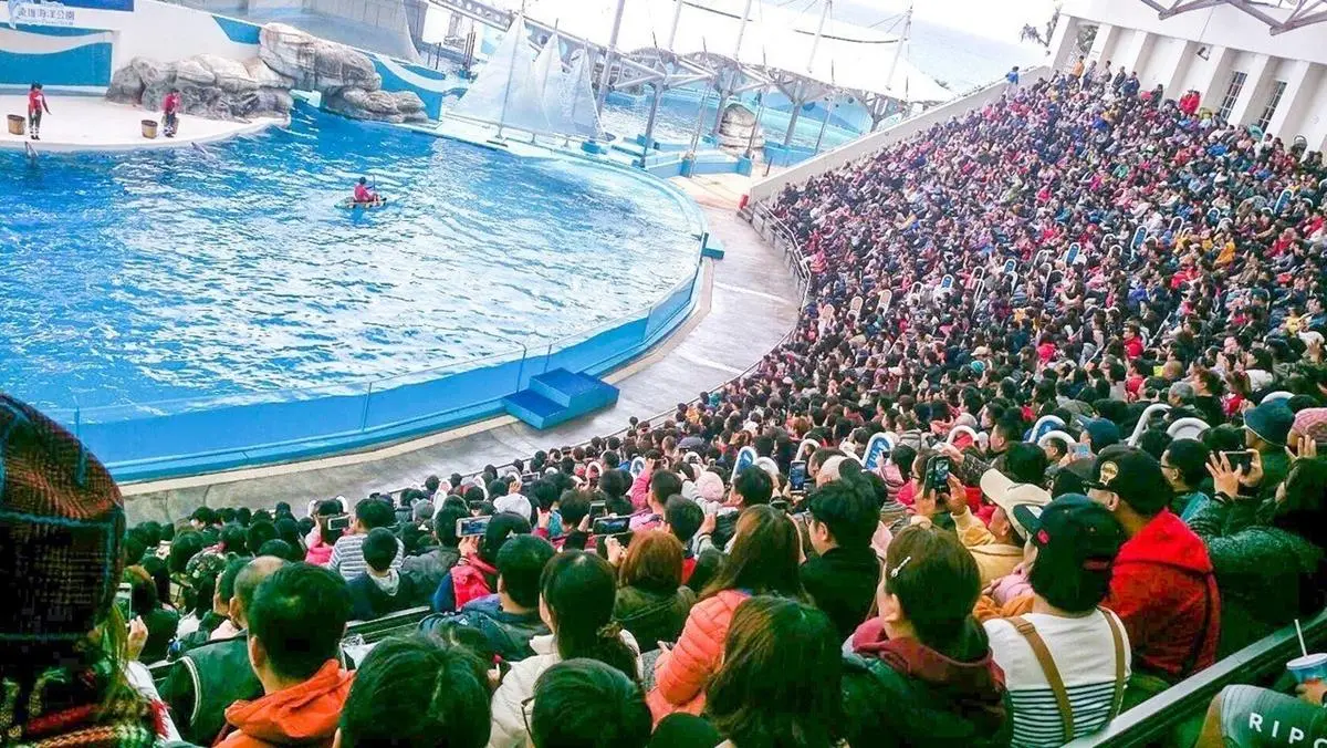 壽星寶寶是你嗎?海洋主題樂園「免費入園」整月不停歇 壽星寶寶是你嗎?海洋主題樂園「免費入園」整月不停歇