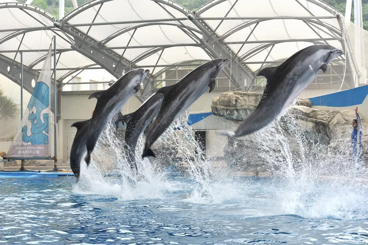 壽星寶寶是你嗎?海洋主題樂園「免費入園」整月不停歇 壽星寶寶是你嗎?海洋主題樂園「免費入園」整月不停歇