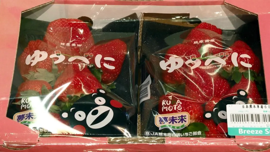「熊本熊」煮「熊本和牛」壽喜燒給你吃！還有貴婦草莓1顆100元