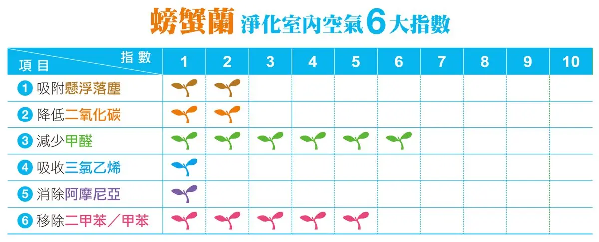 種對「這3種盆栽」！防電磁波、廁所除臭、鞋櫃防塵一次搞定