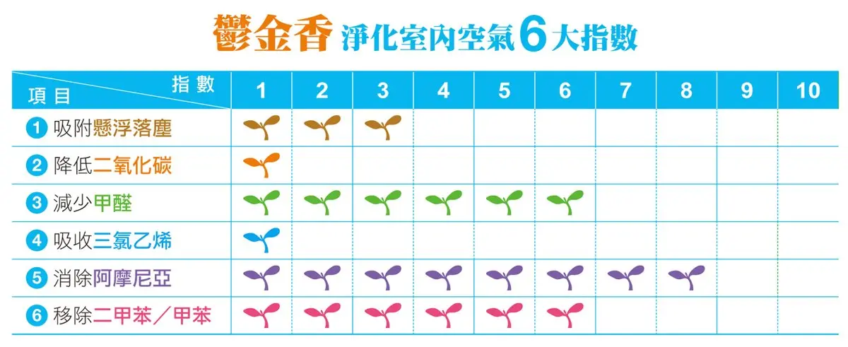 種對「這3種盆栽」！防電磁波、廁所除臭、鞋櫃防塵一次搞定