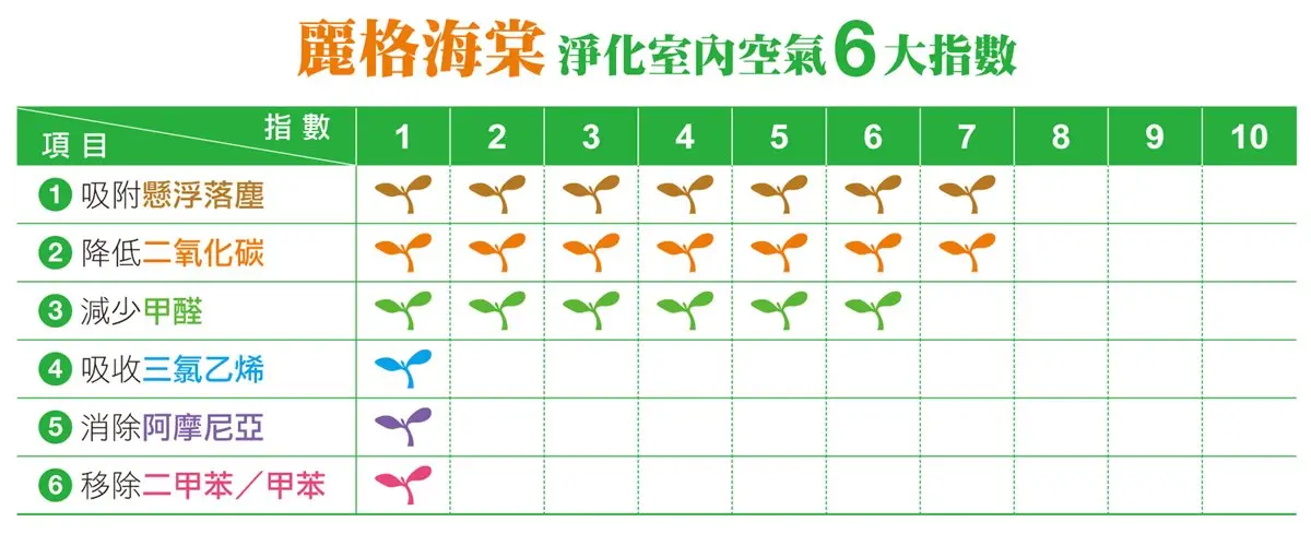 種對「這3種盆栽」！防電磁波、廁所除臭、鞋櫃防塵一次搞定