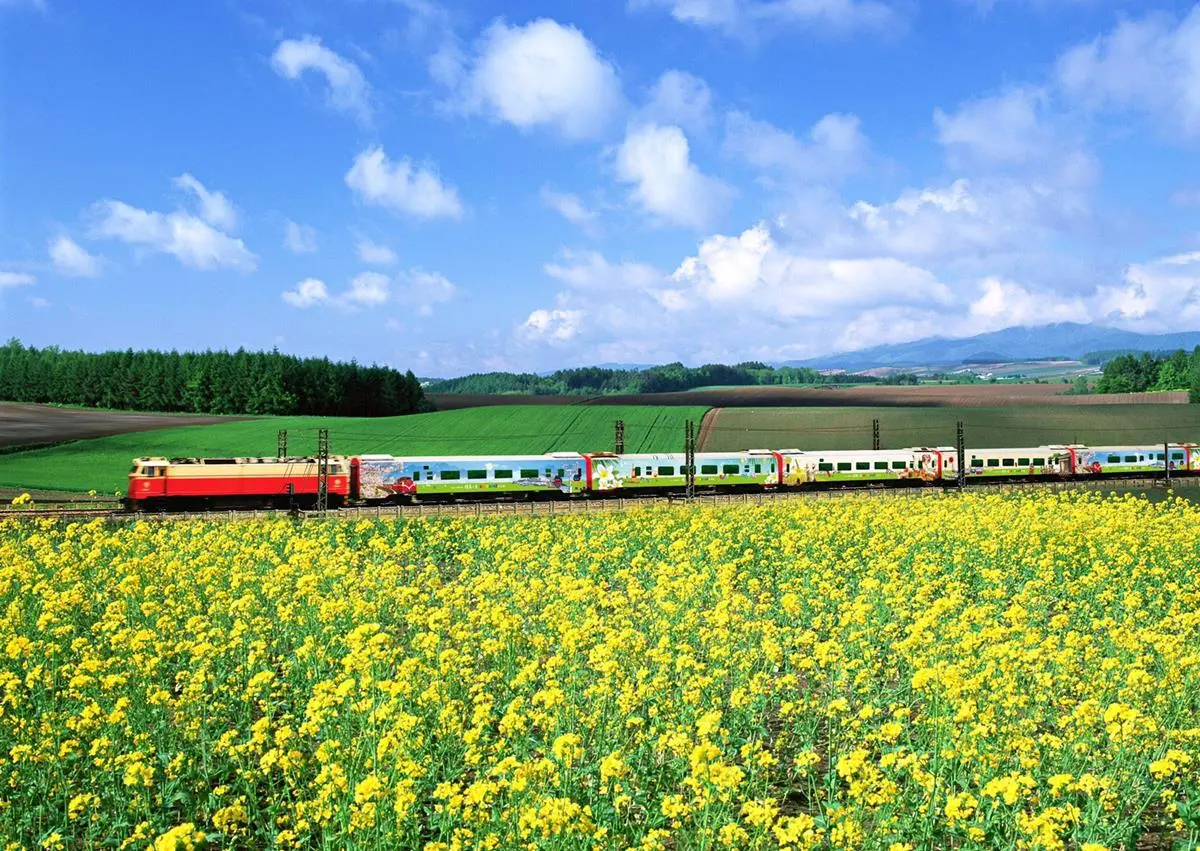 環島最新玩法!升級版「環島之星列車」3排一列旋轉座椅、卡拉OK室 環島最新玩法!升級版「環島之星列車」3排一列旋轉座椅、卡拉OK室