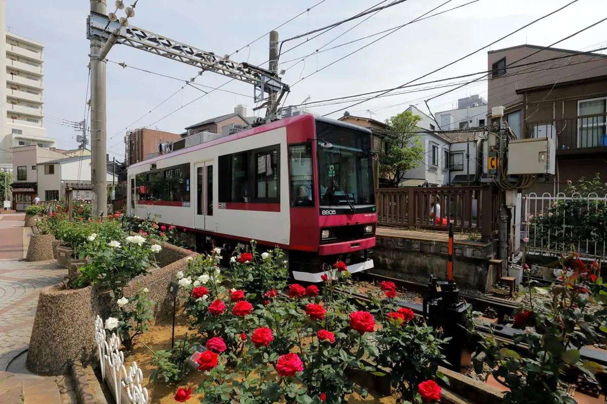 最美懷舊電車!Tokyo Sakura Tram(都電荒川線)三之輪橋停留場訪下町風情