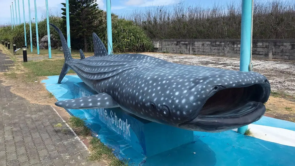 14公尺藍色海洋隧道!正式開幕「澎湖水族館」活化石小鱟寶寶可看 14公尺藍色海洋隧道!正式開幕「澎湖水族館」活化石小鱟寶寶可看