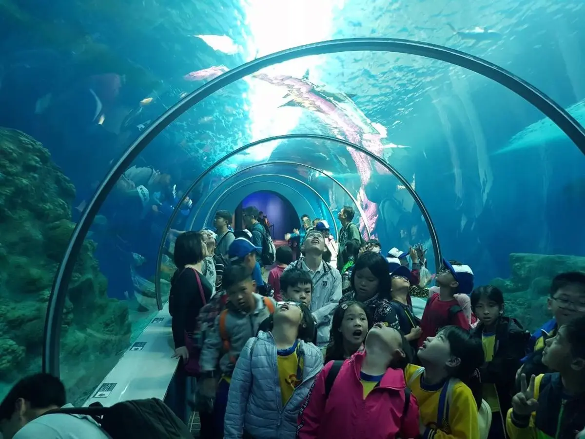 14公尺藍色海洋隧道!正式開幕「澎湖水族館」活化石小鱟寶寶可看 14公尺藍色海洋隧道!正式開幕「澎湖水族館」活化石小鱟寶寶可看
