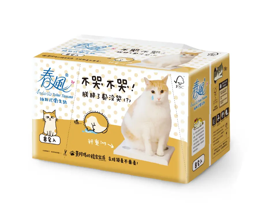 直接買一箱！全聯推83項衛生紙商品「買一送一」＋現金回饋