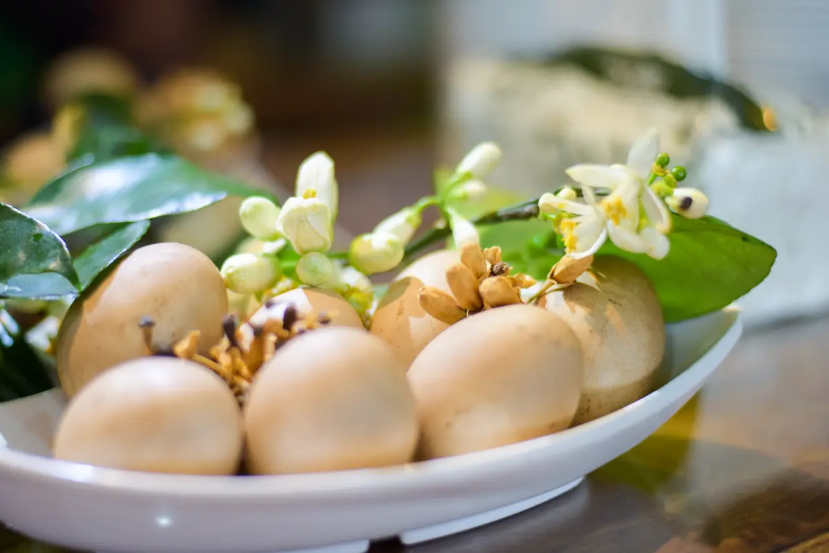 花蓮柚花季好吃又好玩！柚花溫泉浴、特色餐+順遊全台最大樟樹林