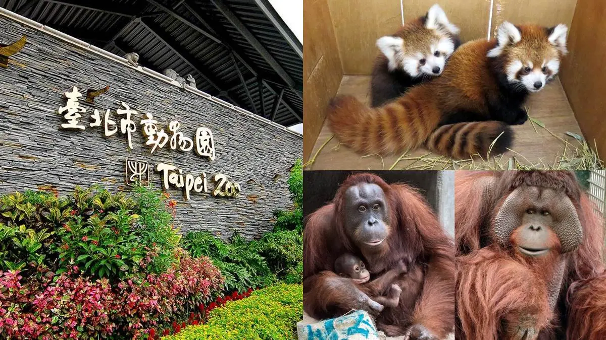 動物也是要休息der！市立動物園「這10天」不開放參觀