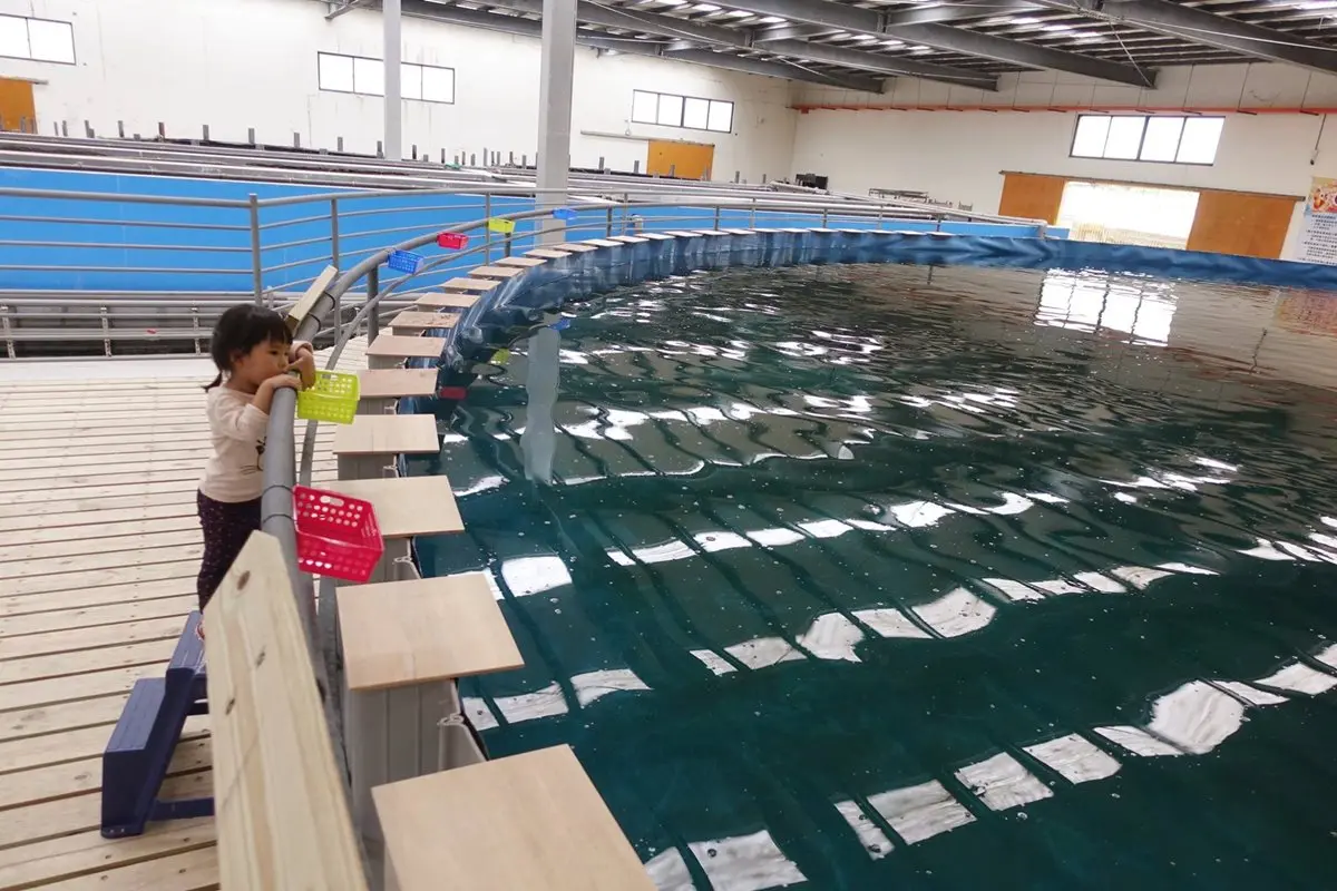 透明觀景台看「鯊魚池」！宜蘭版海生館免門票　還有鯊魚餵食體驗